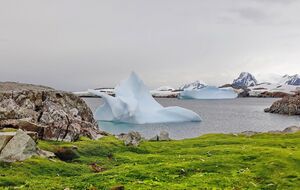 Предыдущий рекорд был зафиксирован в 1985 году, он составил +11,7 °С