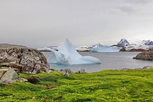 Предыдущий рекорд был зафиксирован в 1985 году, он составил +11,7 °С