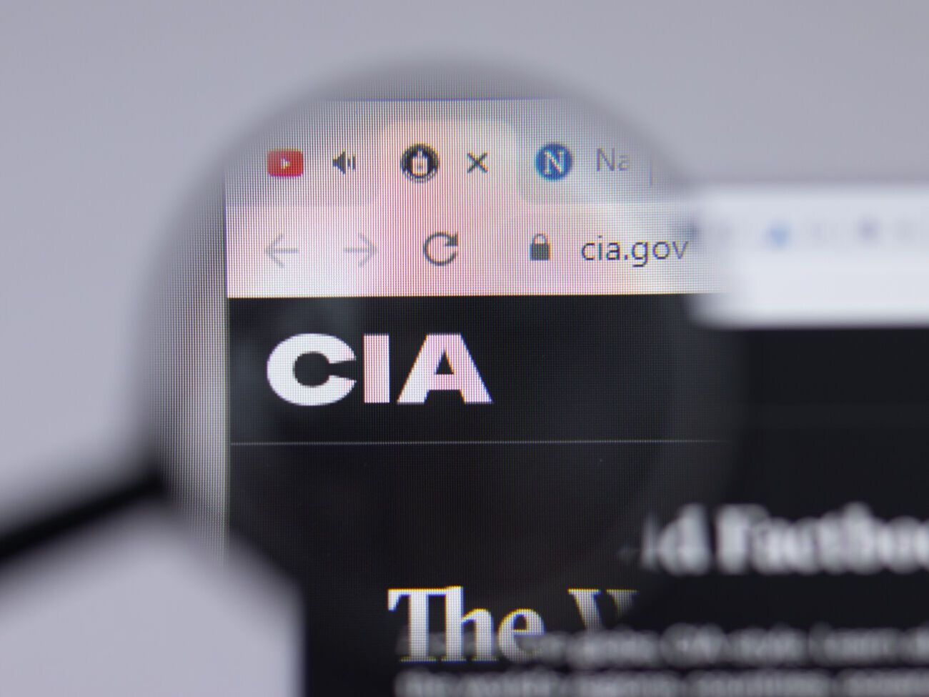 Співрозмовники&nbsp;Der Spiegel у Берліні заявили, що ЦРУ США надало багато інформації про підготовку вторгнення Росії