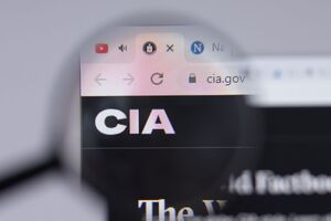 Співрозмовники Der Spiegel у Берліні заявили, що ЦРУ США надало багато інформації про підготовку вторгнення Росії