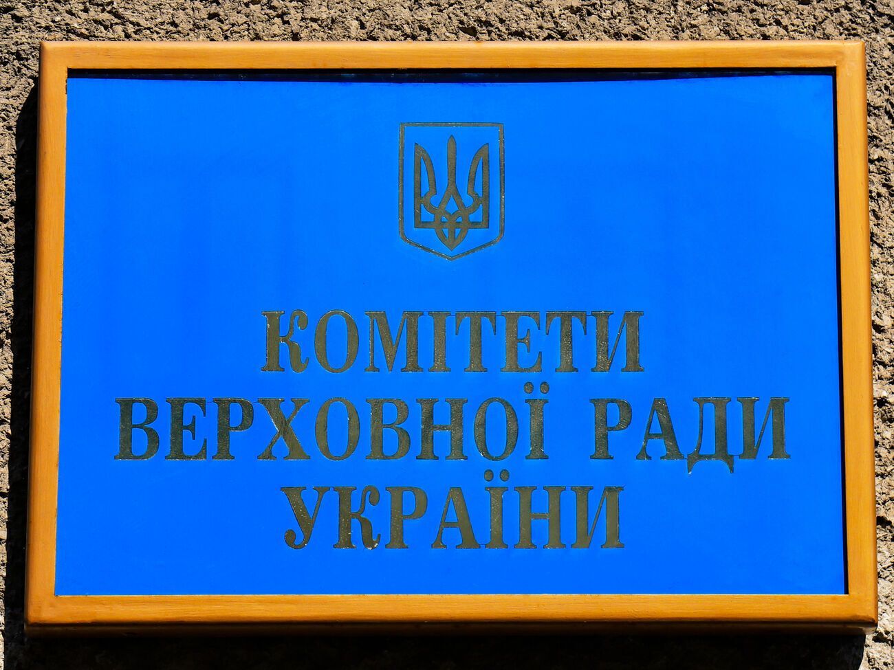 Бюджетний комітет схвалив виділення коштів на гарантії безпеки польотів над Україною