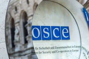 Россия отказалась от участия в консультациях в ОБСЕ