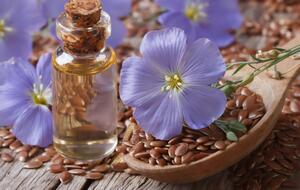 Семена льна не являются самостоятельным блюдом