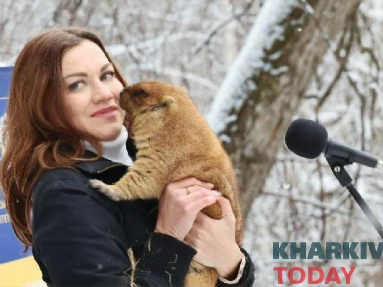 Предсказание сурка расшифровала Токарская