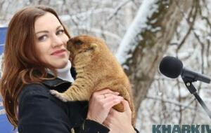 Предсказание сурка расшифровала Токарская