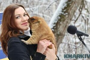 Пророцтво бабака розшифрувала Токарська