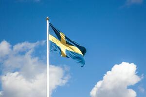 Швеція передасть гроші протягом трьох років