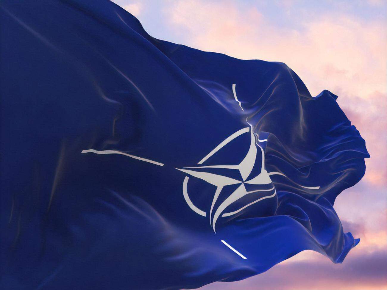 НАТО залучив багатонаціональні сили, які складаються із сухопутних, повітряних, морських та спеціальних сил союзників