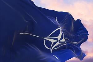 НАТО залучив багатонаціональні сили, які складаються із сухопутних, повітряних, морських та спеціальних сил союзників