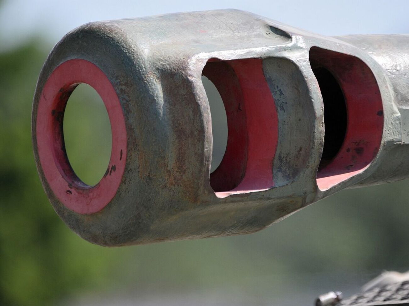 Модель оружия dpa не уточнило