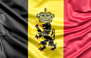 Бельгия рассматривает запрос Украины