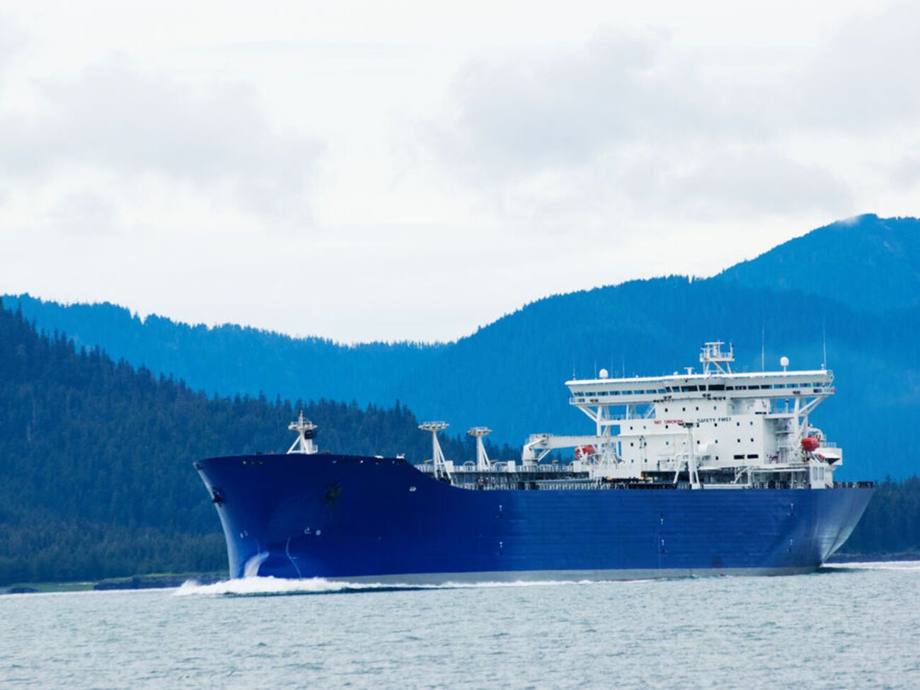 Российские военные захватили танкер "Афина" и сухогруз&nbsp;"Принцесса Николь"