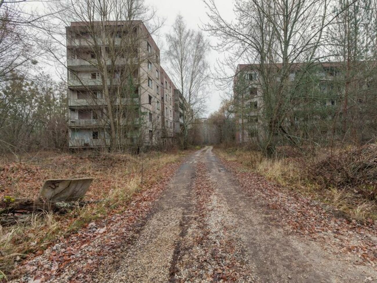 Російські окупанти захопили ЧАЕС 24 лютого