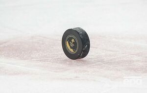 Російські та білоруські команди не братимуть участі у хокейних турнірах, які проводяться під егідою IIHF