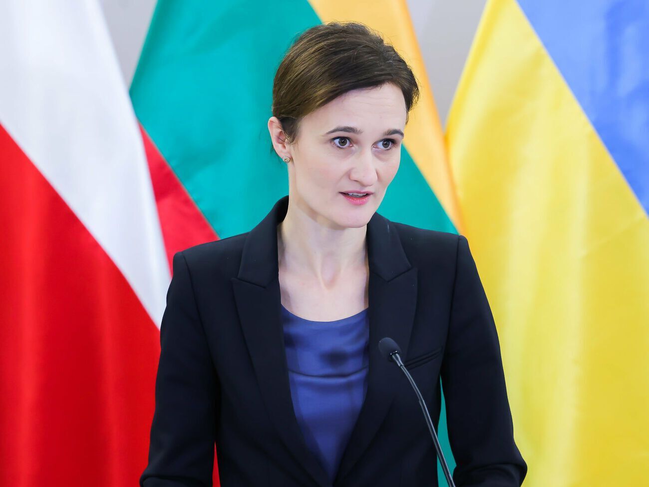 Ніхто не може скасувати суверенне право України вільно обирати альянси й оборонний союз, зазначила Чміліте-Нільсен