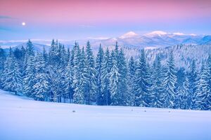 Приложения позволяют передать спасателям координаты собственного местонахождения
