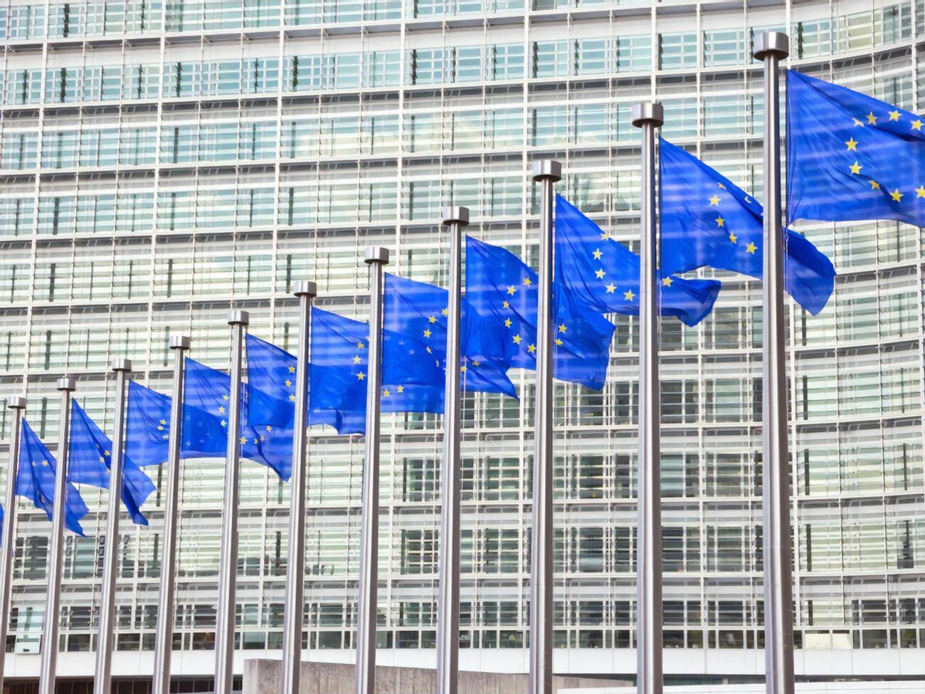 Заявка Украины на вступление в ЕС находится на рассмотрении