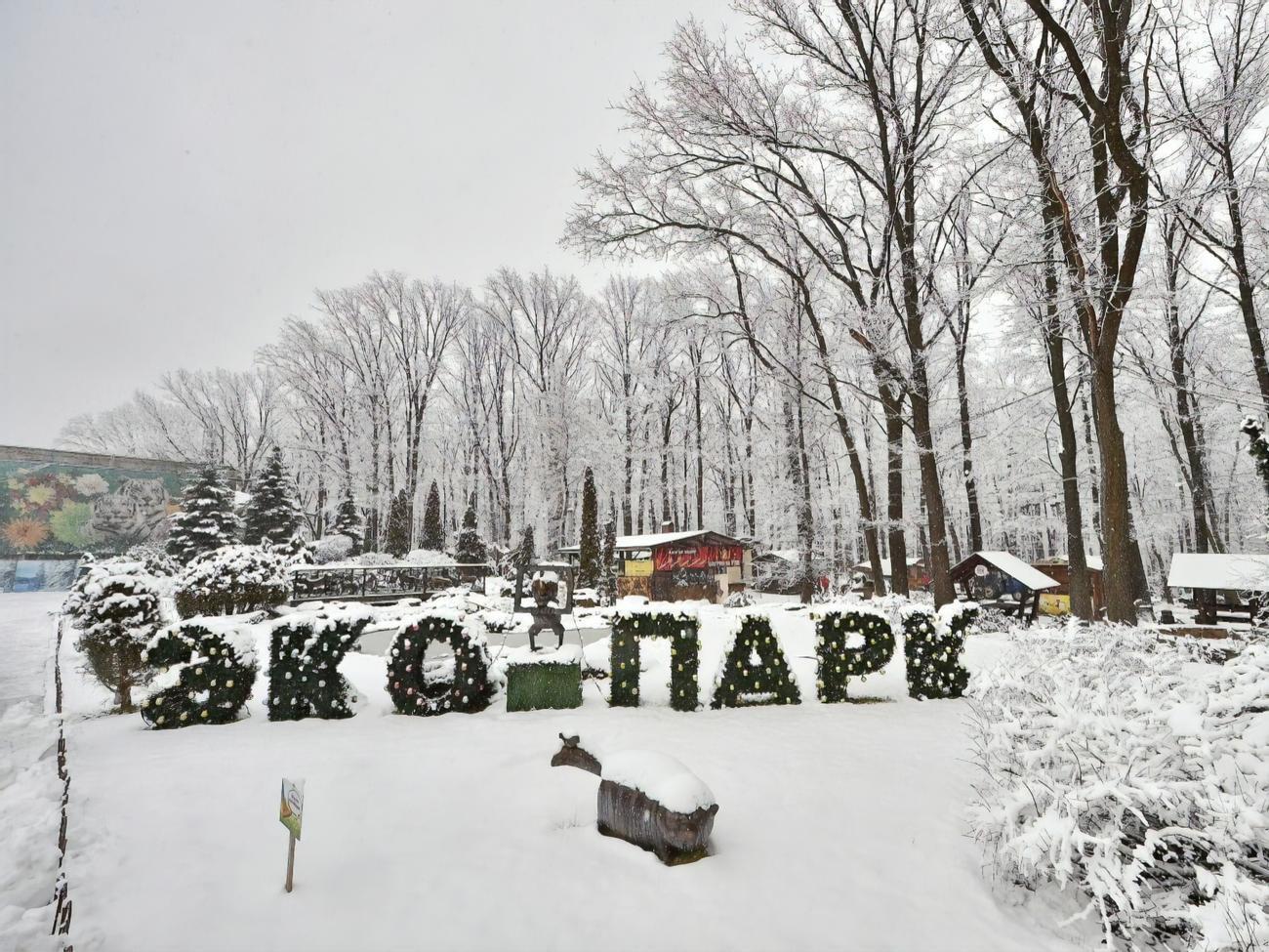 Подробности трагедии в экопарке не раскрыли