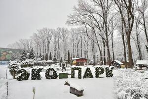 Подробности трагедии в экопарке не раскрыли