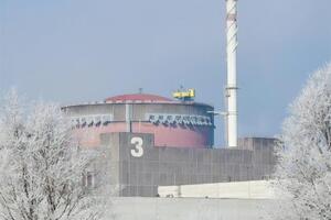 "Енергоатом" закликав МАГАТЕ відреагувати на ситуацію на ЗАЕС