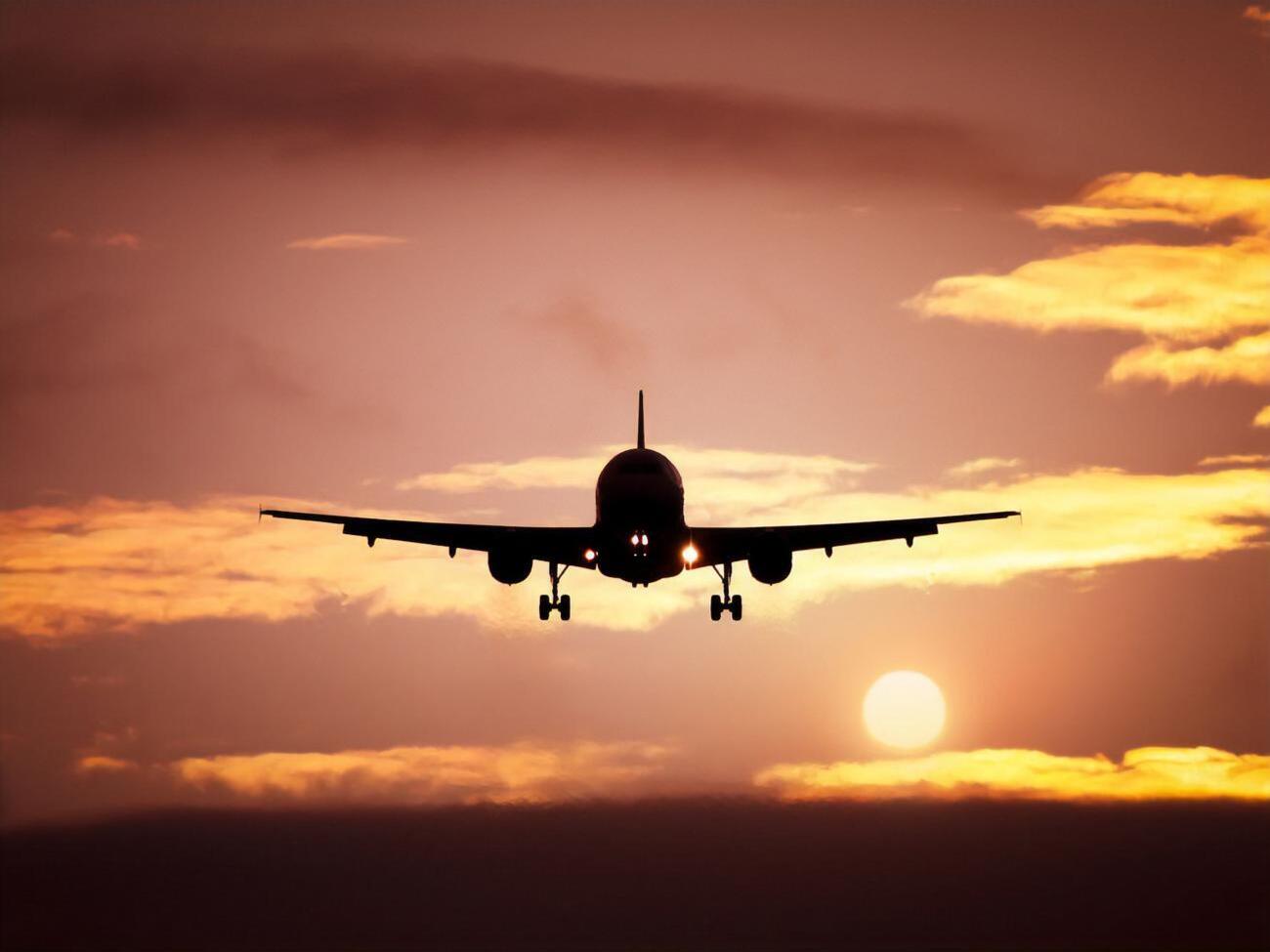 У российских авиакомпаний в лизинге почти 780 самолетов, из них 515 арендованы за границей