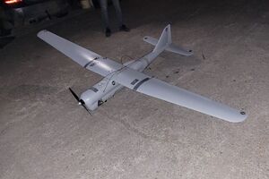 Беспилотник обнаружил житель деревни Думитра