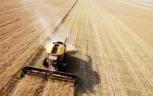 Действия российских оккупантов могут привести к гуманитарному кризису в отдельных регионах Украины, заявили в ГУР Минобороны