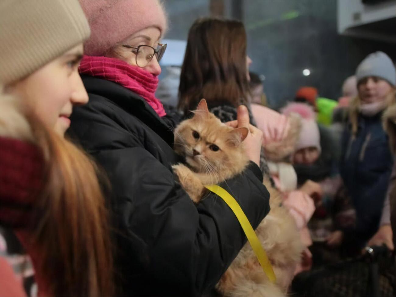 С начала полномасштабного вторжения России почти миллион человек пересекли границу с Польшей через Львовскую область, а около 400 тысяч переселенцев расселены во Львове и области