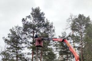 30 аварійних бригад безперервно працюють уже 21 добу, щоб оперативно відновлювати електропостачання населених пунктів у Київській області