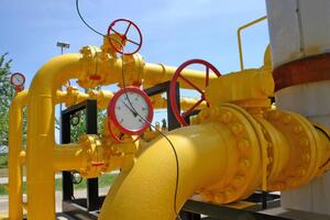 В энергобалансе Польши российский газ составляет примерно 50%, однако польское правительство уверено, что сможет его заменить