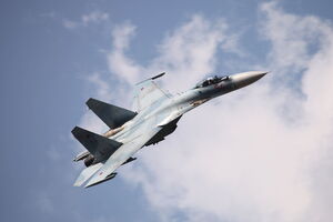 Дії Росії у Швеції назвали непрофесійними