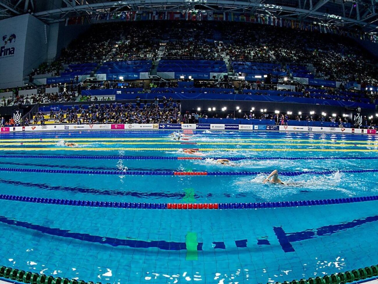 ЧМ 2022 по плаванию на короткой воде должен был пройти в Казани