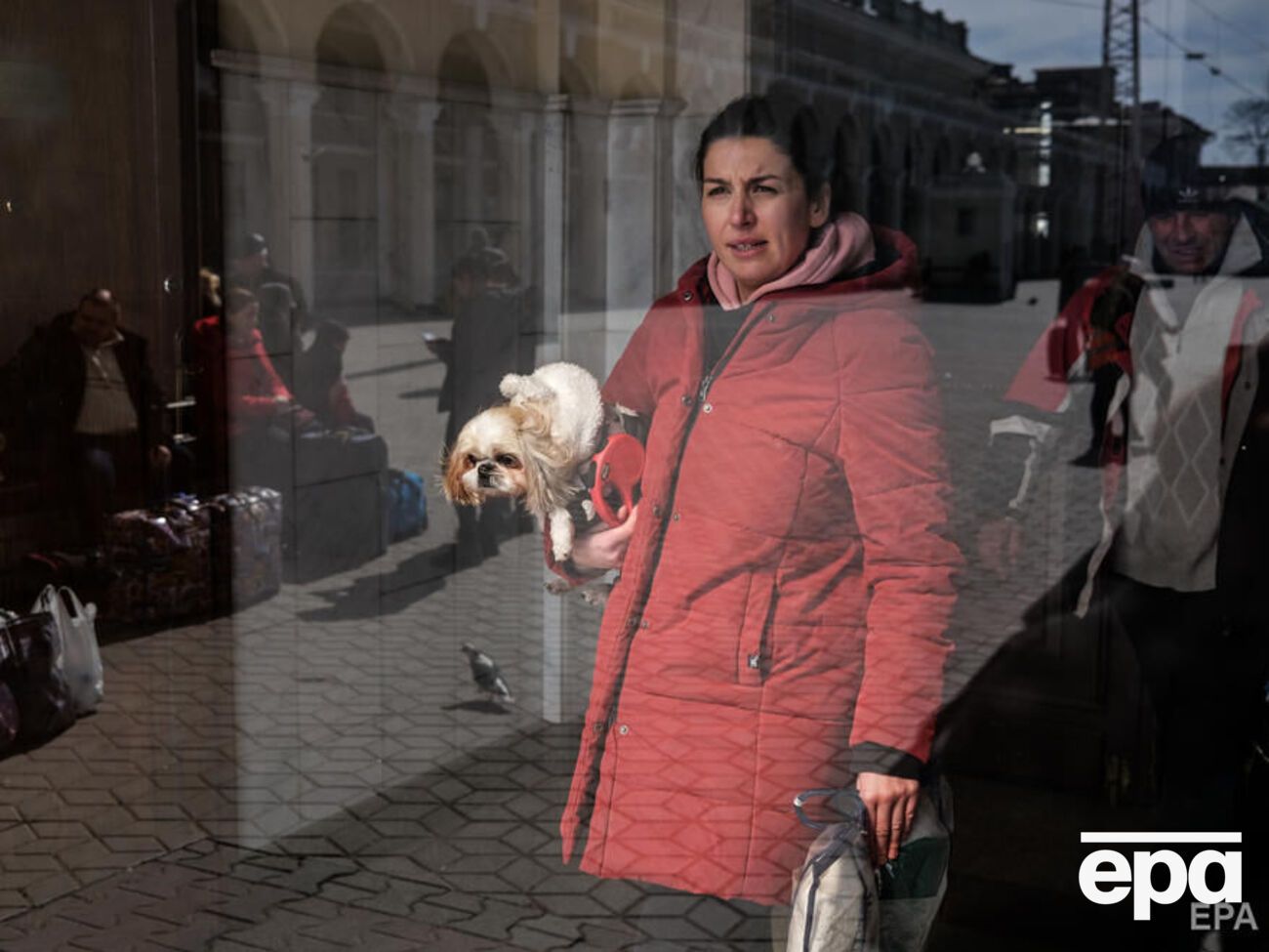 Чверть українців після війни планує завести домашнього улюбленця