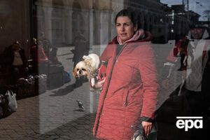 Четверть украинцев после войны планируют завести домашнего любимца