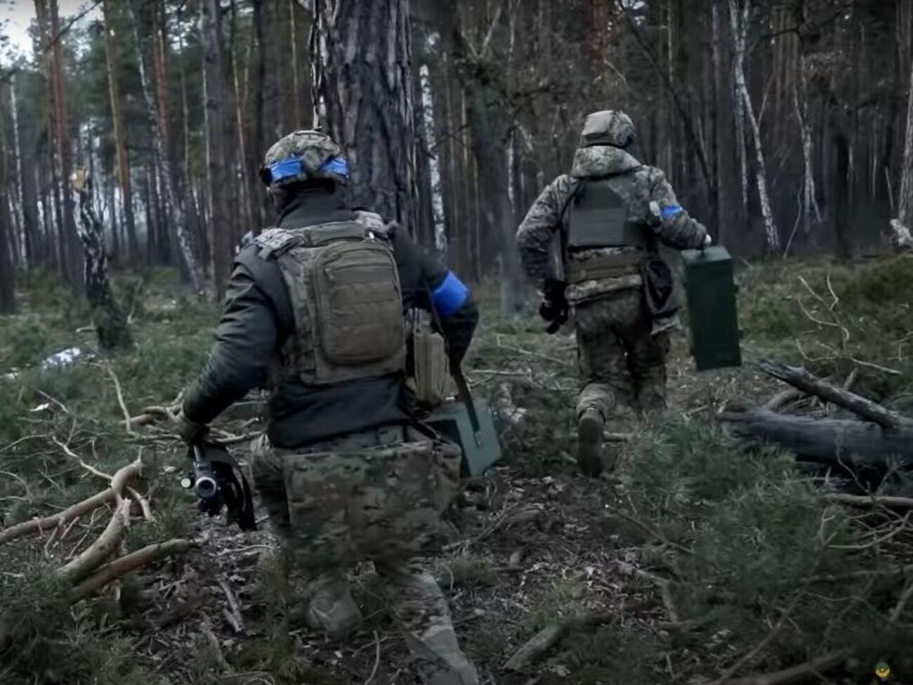 Посещать лес в Ровенской области можно&nbsp;ВСУ, силовикам, представителям органов исполнительной власти, местного самоуправления и работающим с лесом, отметил Коваль