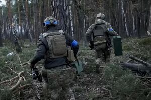 Посещать лес в Ровенской области можно ВСУ, силовикам, представителям органов исполнительной власти, местного самоуправления и работающим с лесом, отметил Коваль