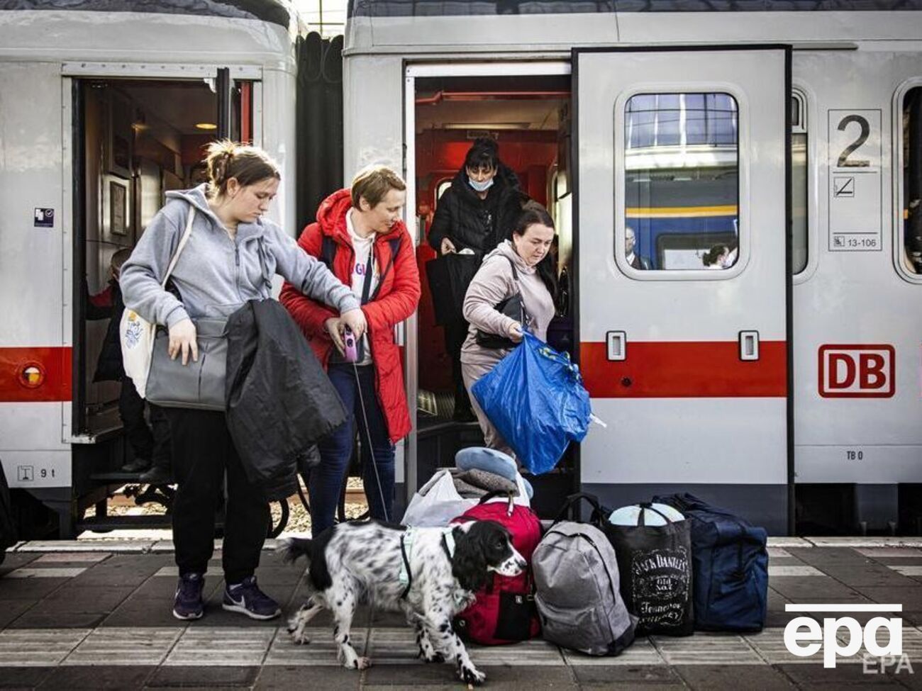 Из-за нападения России свои дома вынуждены были покинуть более 10 млн украинцев
