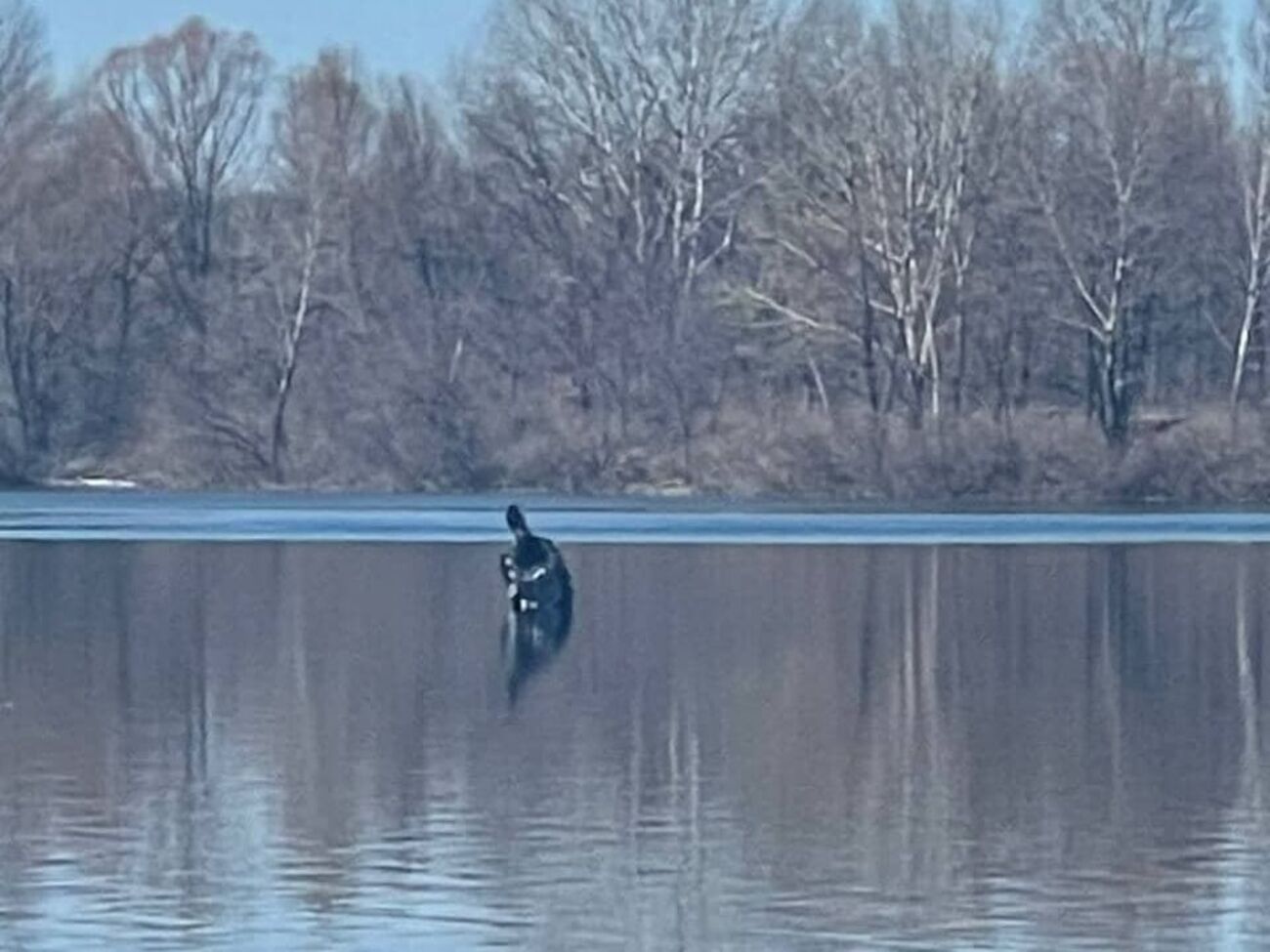 Противник активно ведет ракетный огонь, отметили в ВСУ