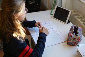 Обучение будет проходить в дистанционном режиме