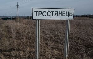 Тростянец пробыл под оккупацией больше 20 дней