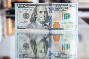 Можна подати інформацію, зокрема, про грошові активи, розміщені на банківських рахунках