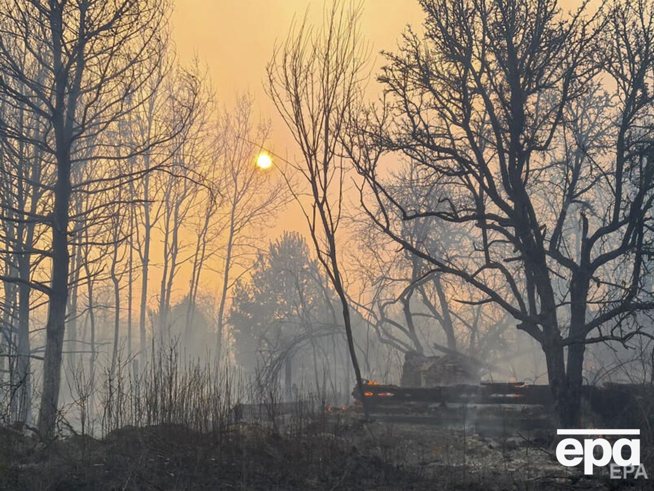 Подтвердилась информация о том, что оккупанты окапывались в Рыжем лесу, заявили в "Энергоатоме"