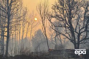 Подтвердилась информация о том, что оккупанты окапывались в Рыжем лесу, заявили в "Энергоатоме"