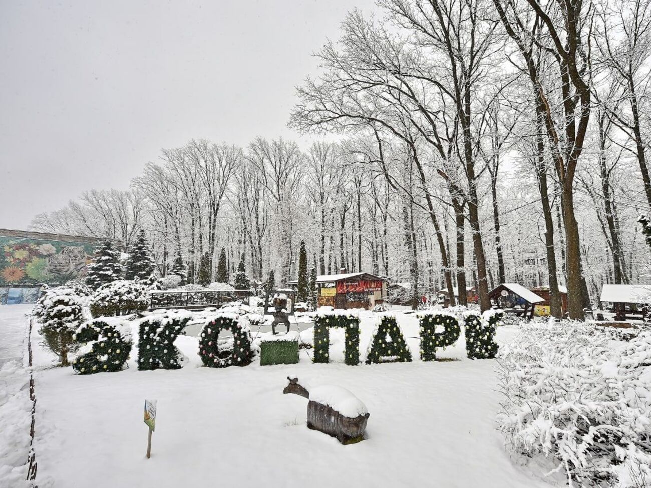 Российские снаряды попали на территорию "Фельдман Экопарка" в первый же день вторжения