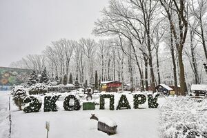 Российские снаряды попали на территорию "Фельдман Экопарка" в первый же день вторжения
