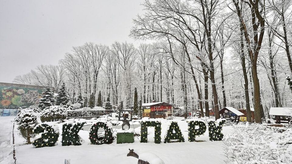 Російські снаряди влучили у територію "Фельдман Екопарку" в перший день вторгнення