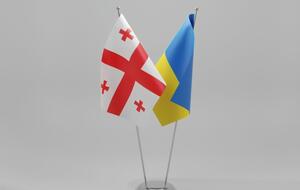 В Україні критикують переговори Грузії з країною-агресором