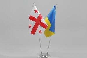 В Україні критикують переговори Грузії з країною-агресором