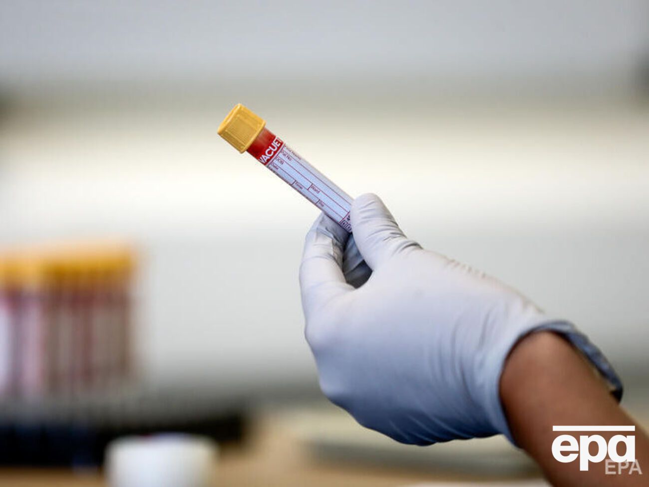 О каких-либо доказательствах заявления Гатилова ничего не известно