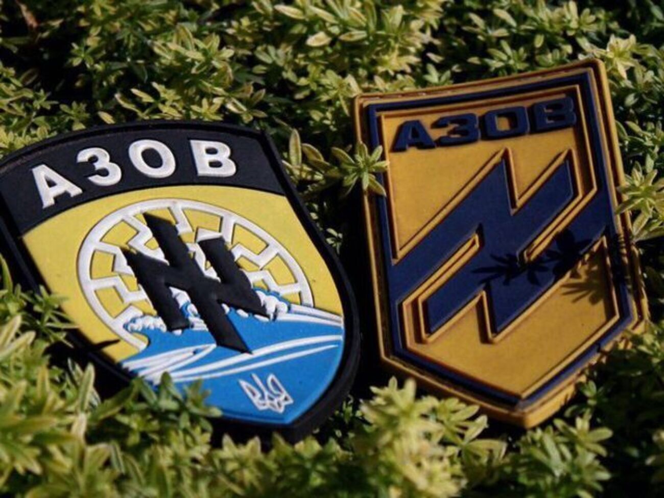 "Азов" основан 5 мая 2014 года в виде батальона